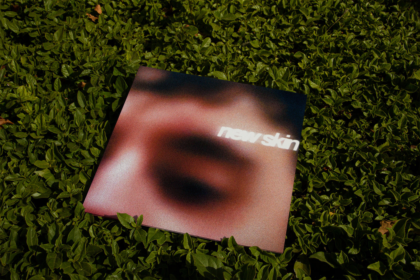 NEW SKIN 12" Vinyl
